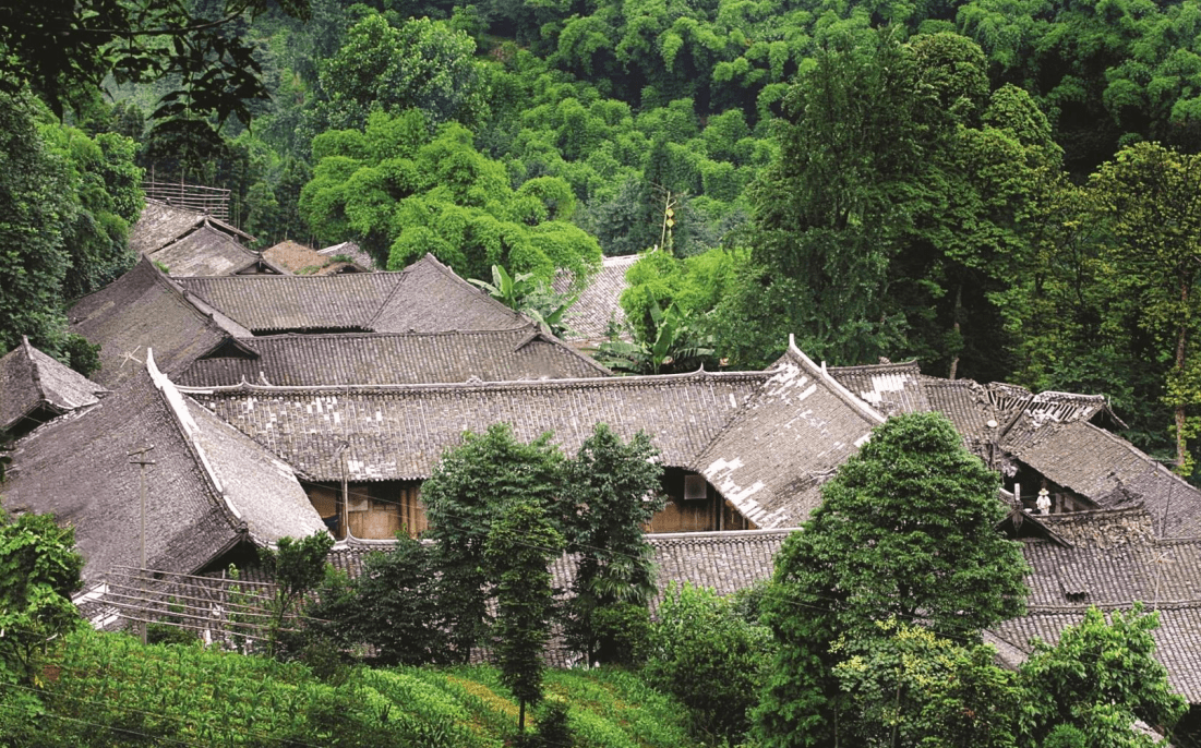文化|成都乡村旅游民宿篇：邛崃花楸村，隐匿于竹海茶山里的民宿
