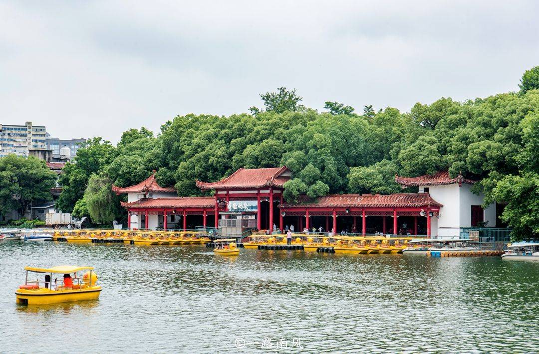 简历|南昌老牌“相亲公园”百花洲，简历很详细，现场老年人比年轻人多