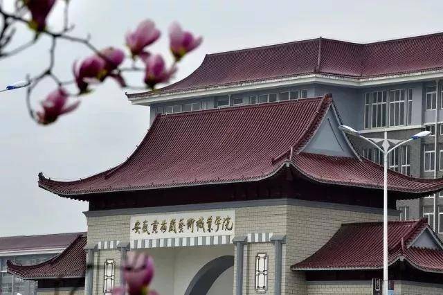 安徽黄梅戏艺术职业学院是经安徽省人民政府批准,教育部备案的全国