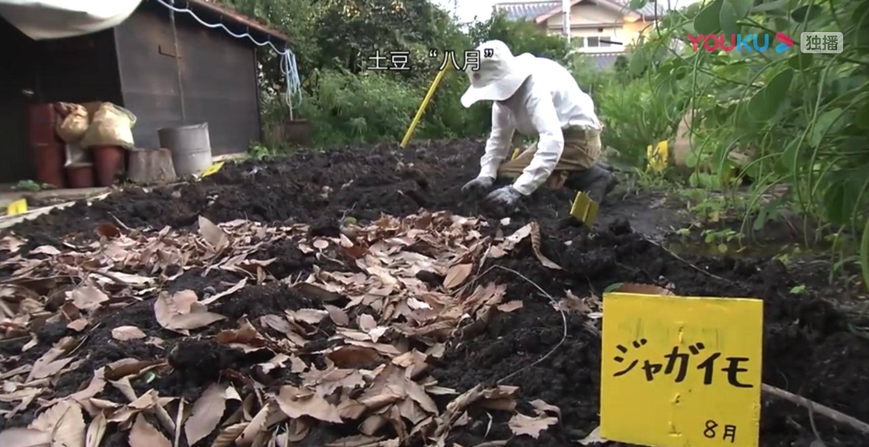 生活|豆瓣9.6高分纪录片!探秘177岁夫妇的隐居幸福婚姻|《人生果实》