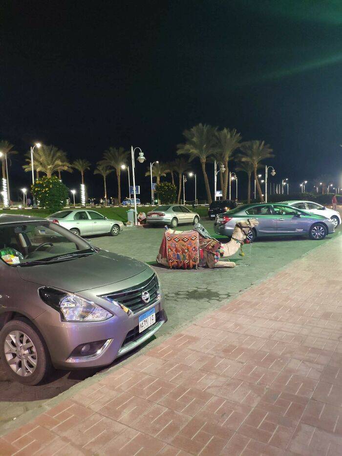 原创23张实拍照片带你了解最真实的埃及原来它和我们想象中不一样