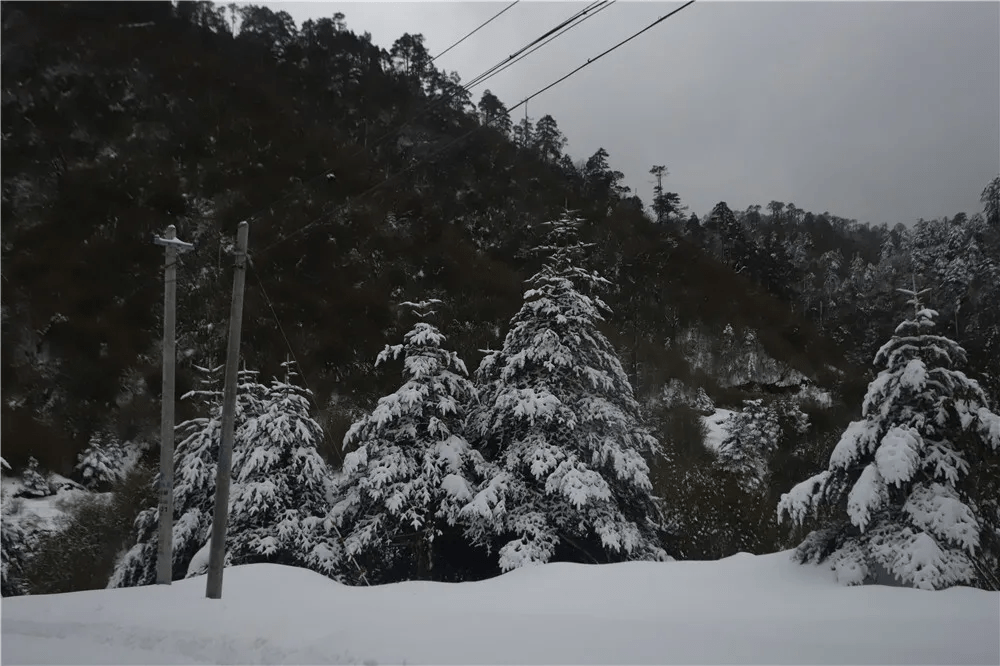 阳光|一山有四季，十里不同天