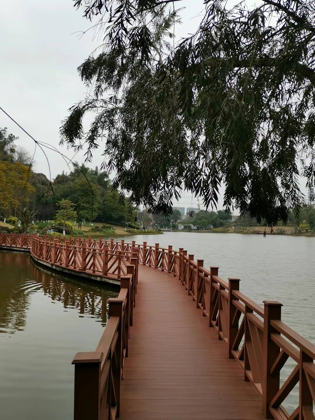 自贡卧龙湖湿地公园图片