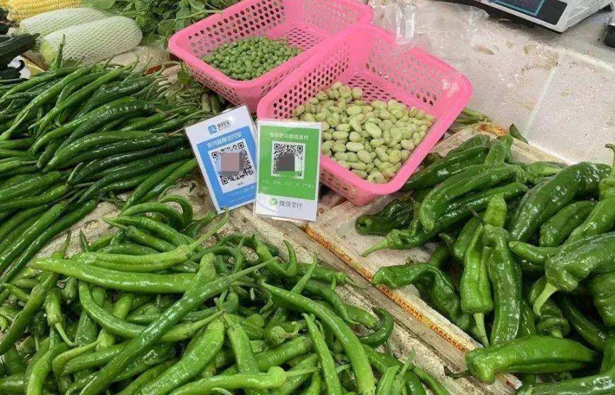 官网登入支付宝怎么登录_登陆支付宝官网_支付宝登入官网