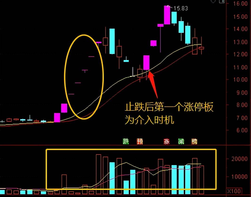 龙司令股市（龙司令是什么电视剧）《龙司令是什么电视剧的人物》