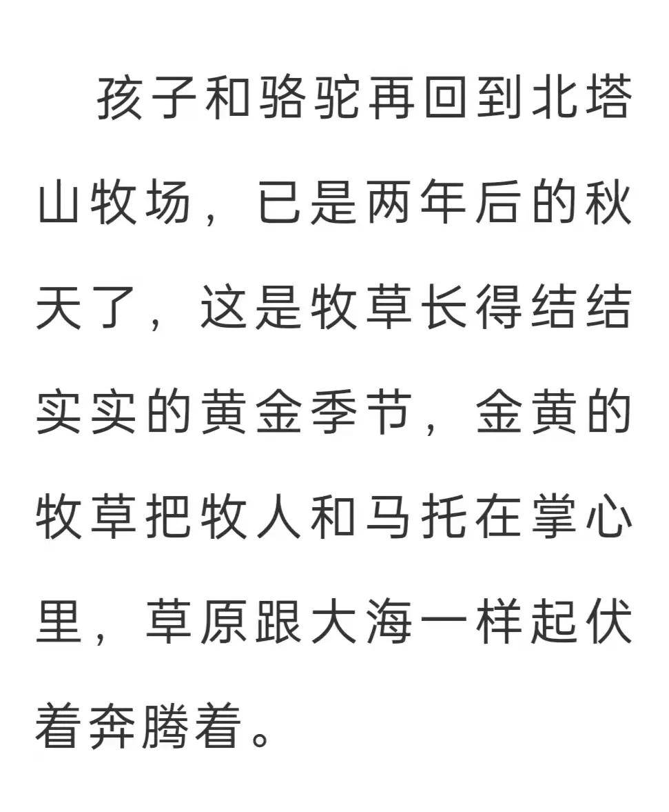 赵长春:红柯和他的《骆驼碗》|阅读时光
骆驼碗