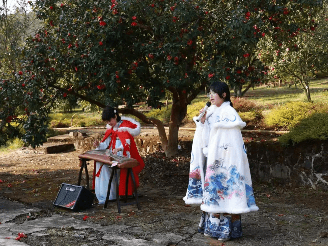 花朵|腾冲来凤茶花园里春色满园