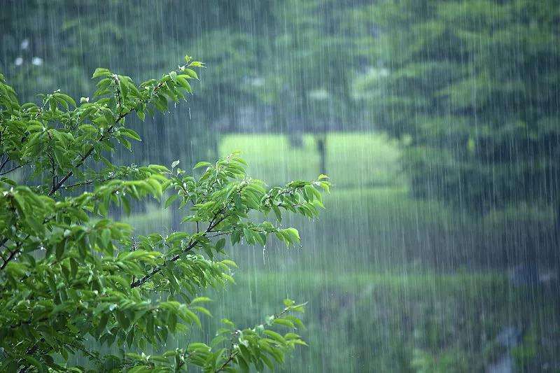 岩心|辽宁诗人万紫千紅：五律 ·壬寅雨水（ 新韵）