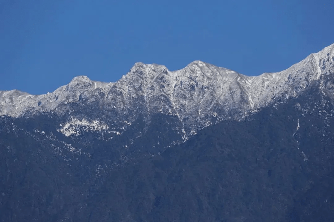 清风|初春腾冲：油菜花开金灿灿，紫云沫雪白皑皑