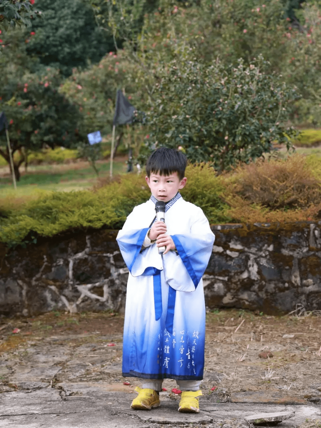 花朵|腾冲来凤茶花园里春色满园