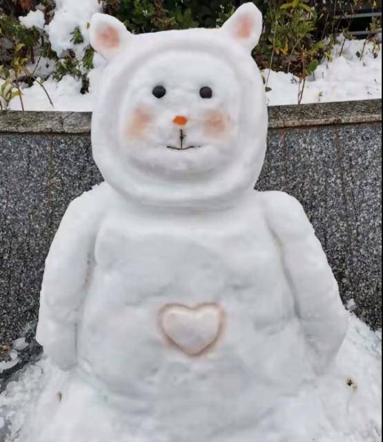 就是可愛這組雪人沒別的冰墩墩,雪寶,熊熊……可可愛愛組所以花花草草