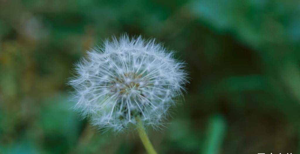 2月22日 26日爱情运势 喜逢良人 情定三生的四大星座 单未来 问题 感情交流