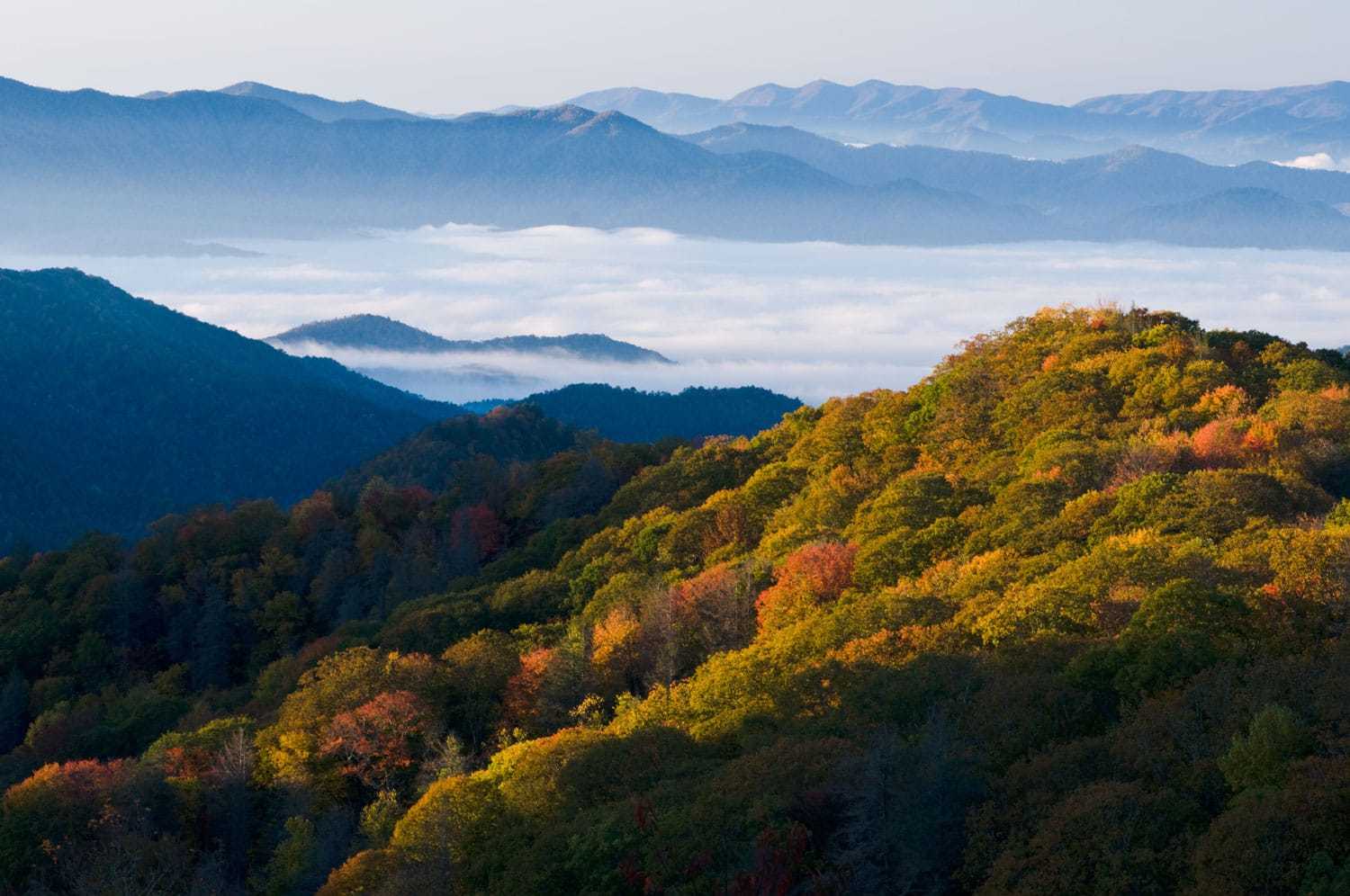 原创大雾山国家公园