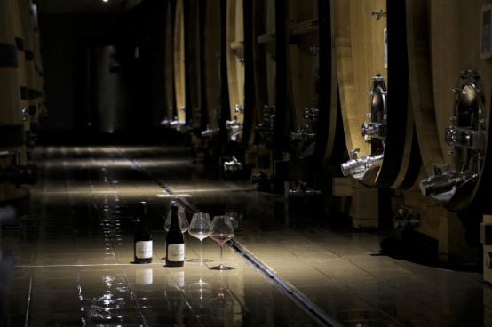 蒂尔|罗讷河谷专题，莎普蒂尔&amp;泰德罗弘&amp;玉旒领衔，北罗西拉饕餮盛宴！