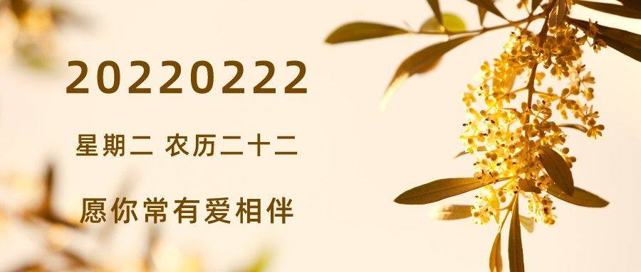 2022年2月22日星期二农历廿二