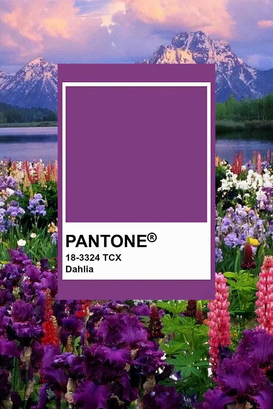 Pantone 2022春夏最IN十大流行色，美炸了！