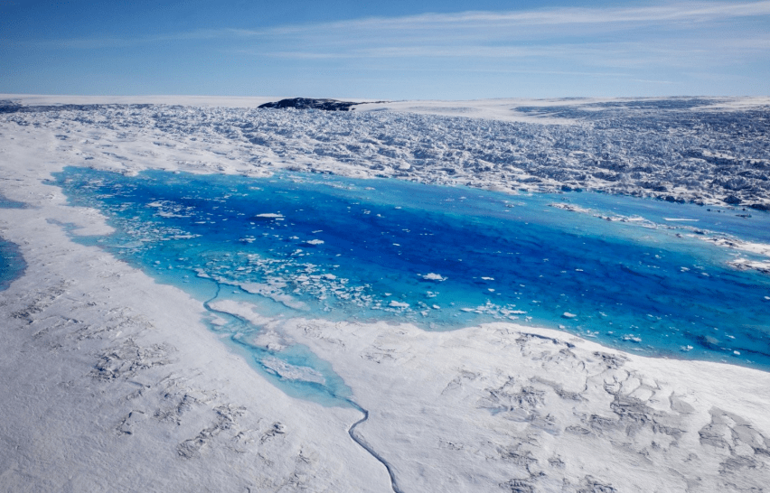 为什么蚊子能在北极圈泛滥?零下几十度的天气,蚊子如何生存?