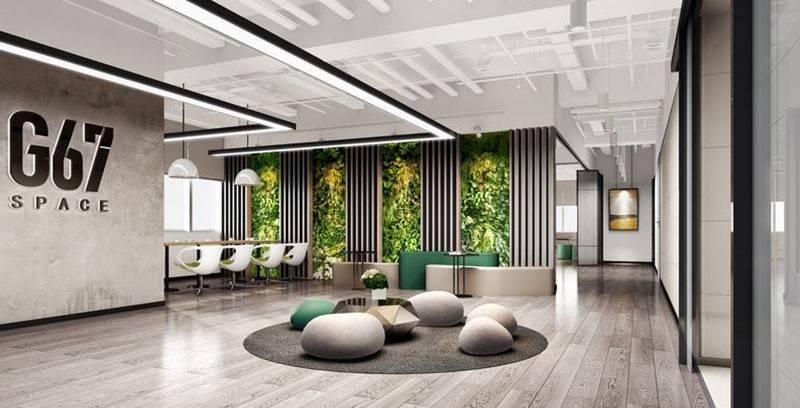 南昌办公室装修中绿植的五大作用