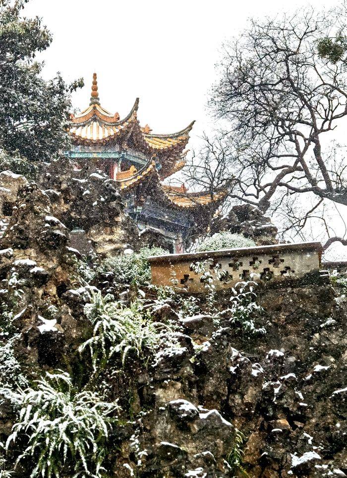 昆明下雪了春城的雪景真美丽