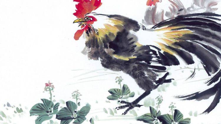 ���ﲻһ,�ó�������ʵ����,���������Ը����Ф,����׽����͸