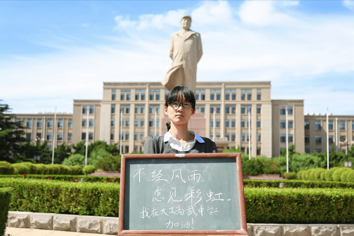 张林风_专业_项目