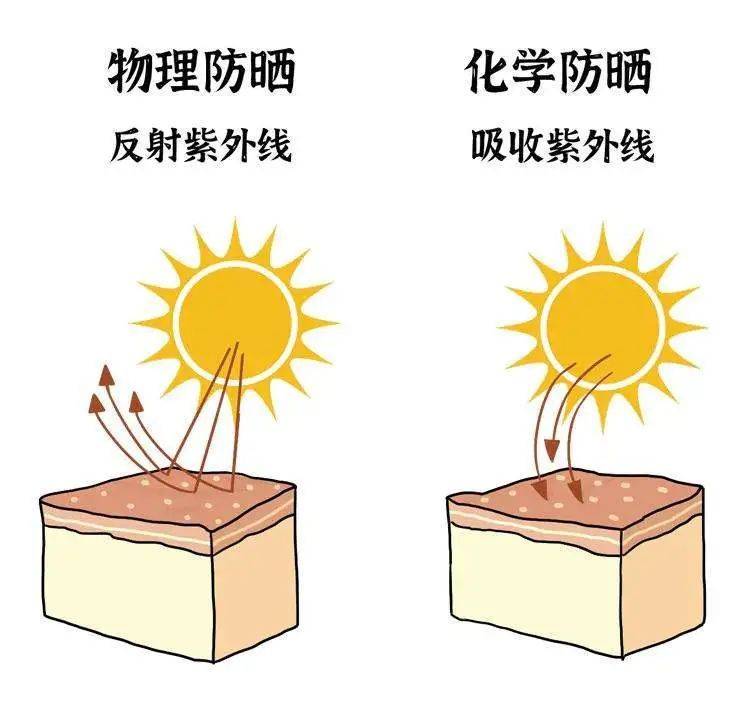 斑小將護膚經別隻看防曬指數有這種成分的防曬霜勸你別買