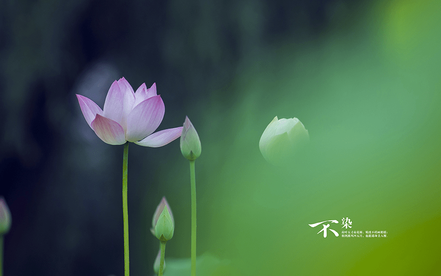 8703d07f1835480e98640538791a1b59.png