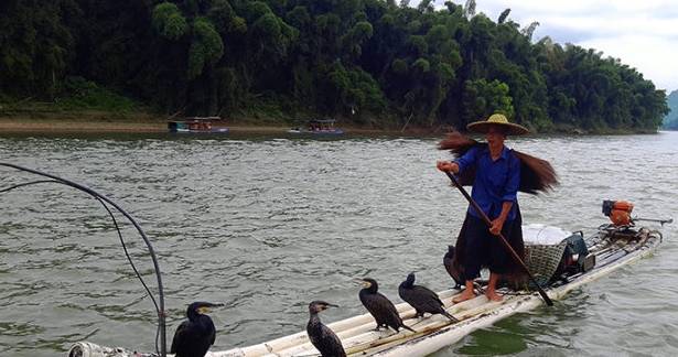 原创漓江上这群人即将消失以前捕鱼千斤现只有几斤连伙食费都不够