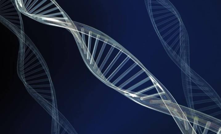 人是一个能量体,从dna的双螺旋结构和太极双鱼图说起,很有意思_进化