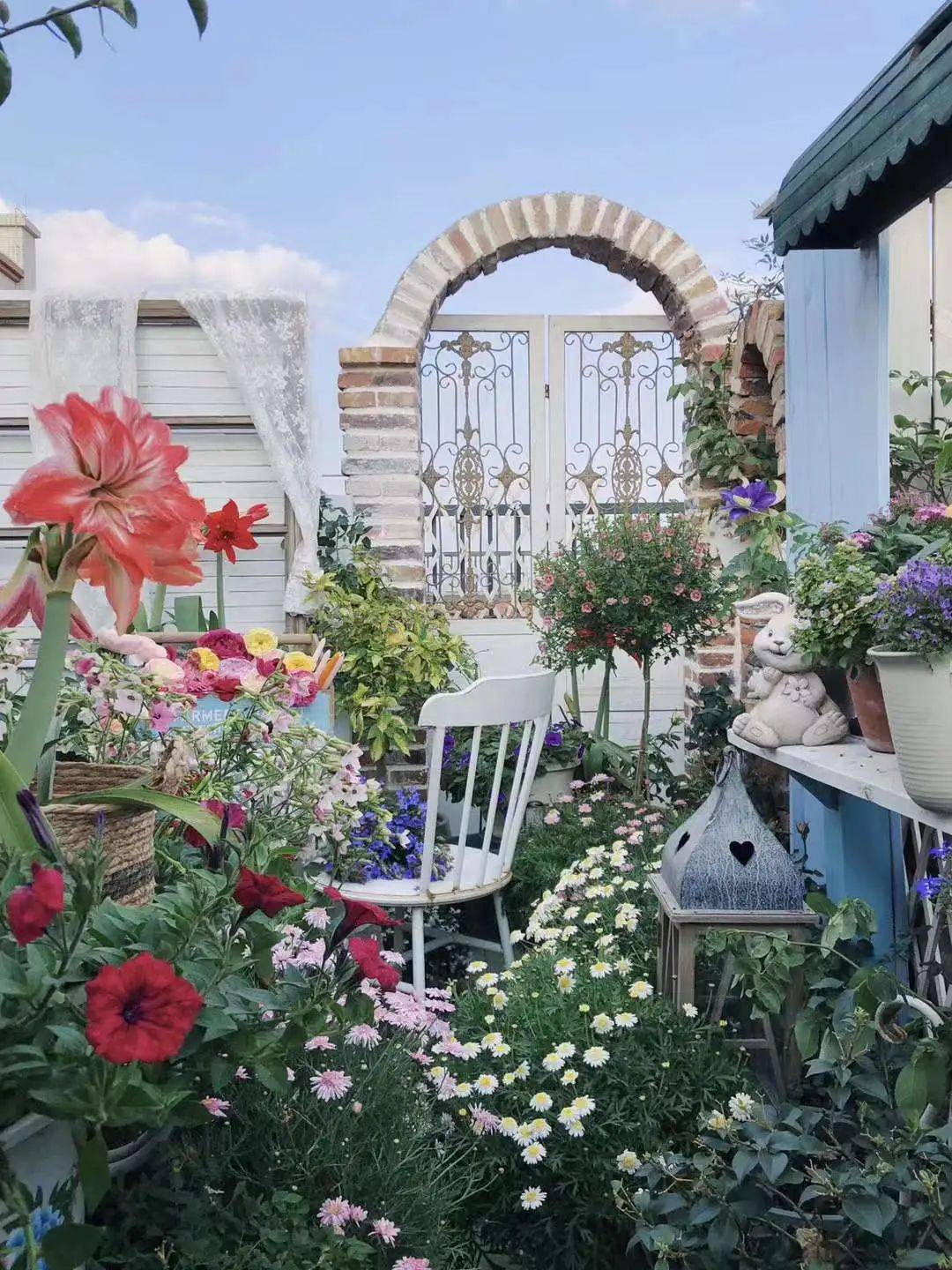 海妈花园拜访广东少年历时5年打造四季如春的260㎡楼顶花园