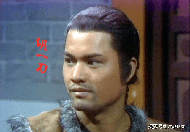 雪山飞狐里,他的武功远胜胡一刀,堪称全书第一高手!_胡斐_苗人_陈家洛