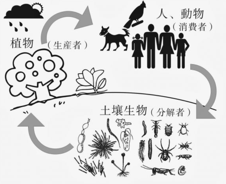 原创为什么人类要让动物回交回交有什么好处吗