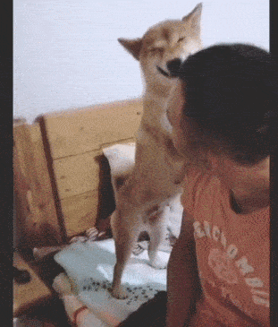 原创
万万没想到,这瓶饮料被大妈拿去了,我是来钓鱼的呢!
一、搞笑妹子动态图,搞笑GIF分享!二、搞笑段子,幽默段子分享!