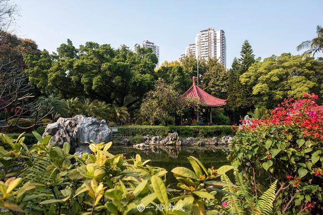 市民|广州芳村隐藏一座精美园林，不需要门票，大多数外地游客不知道