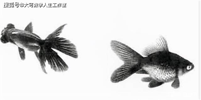 克隆之父童第周:与诺奖擦肩而过,曾出现在语文课中,却没人记得