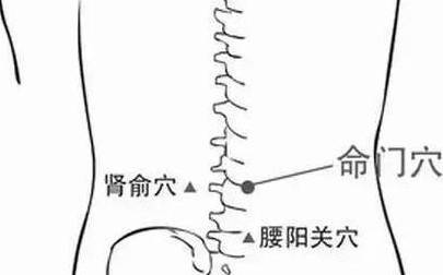 肾脏|生活中，降尿酸，少做四件事，常吃一物，常饮二水，常按三穴！