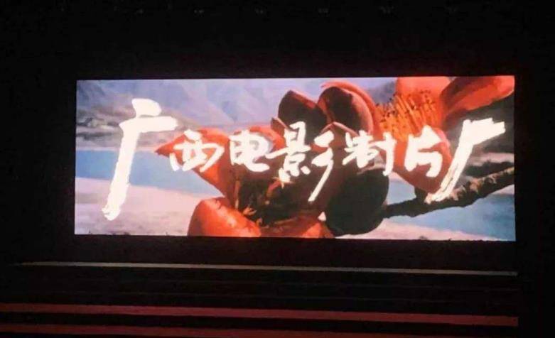 张末|张艺谋之女：从小最恨巩俐，离婚后回到父亲怀抱，如今成大导演