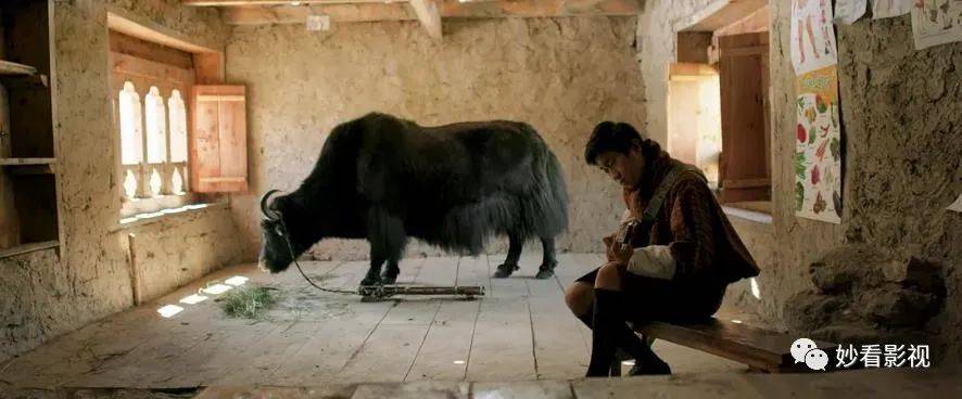 生活|教书育人触碰未来——《教室里的一头牦牛》