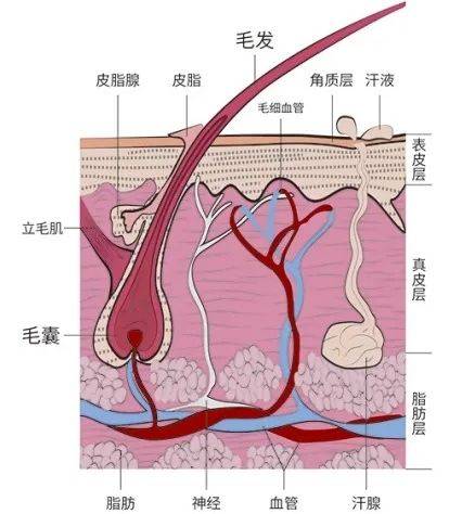 毛囊痘痘贴不能祛痘，但专治手贱！