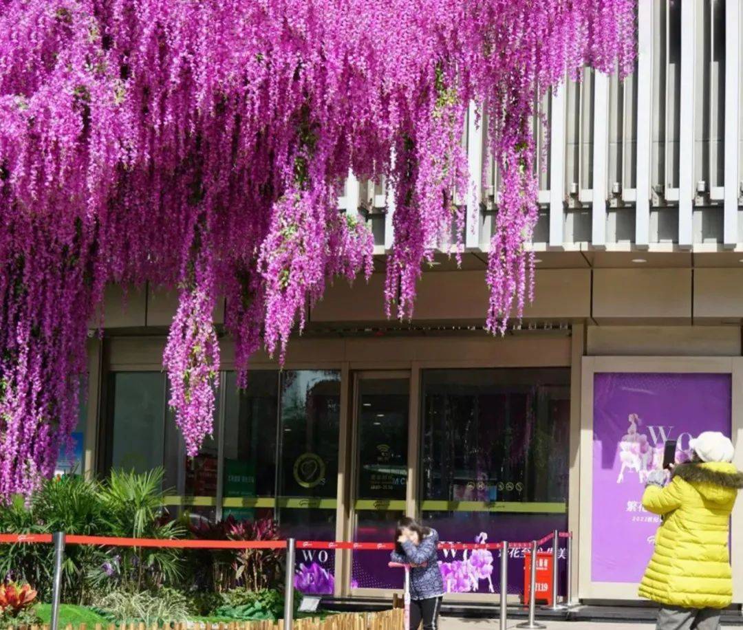 春花春天了,要对自己好一点!