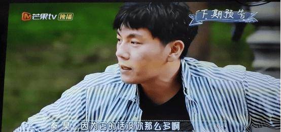 王智|艾小羊：同情梅艳芳？伊能静真不配啊……