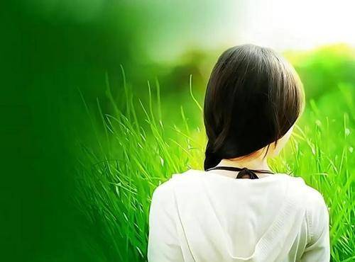 春有宴 当不负 不负春色不负卿 阳光和 春光 春风