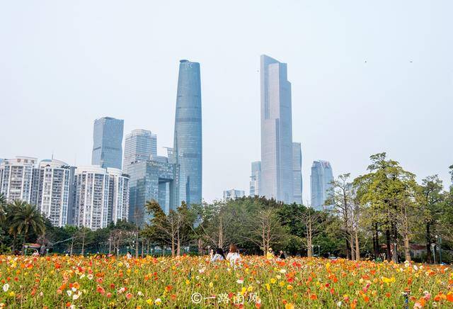 鲜花|广州二沙岛花开成海，这里没有围墙且免费开放，你去打卡了吗