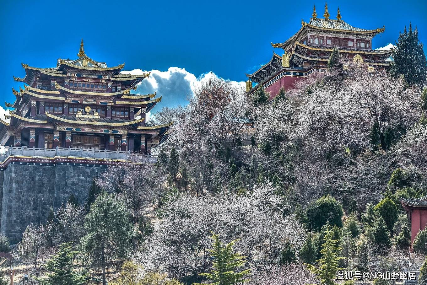 江南|迪庆古城最佳观景点：有着藏地江南的既视感，不愧为香格里拉！