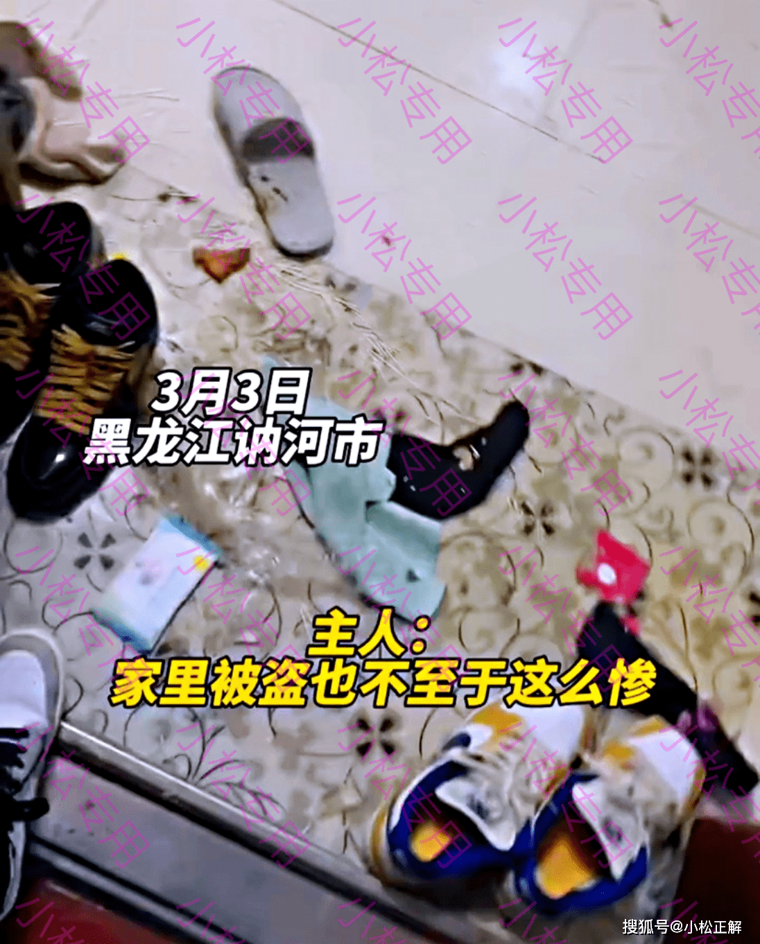 初衷开门一看心态崩了？男子出门忘锁狗笼，二哈伙同金毛把家拆了个遍