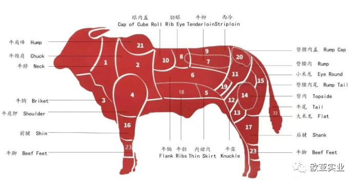 巴西牛肉分割图及名称图片