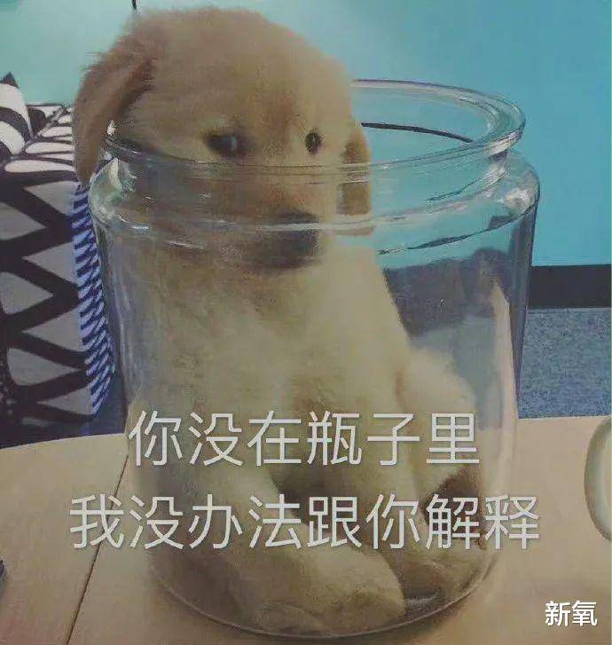 血管比姨妈来得还准的春季综合症，烂脸还算是轻微的？