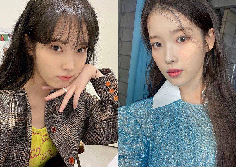 宋轶猫系长相的辛芷蕾，狐狸系美人宋轶，这些动物系长相该怎么判断？