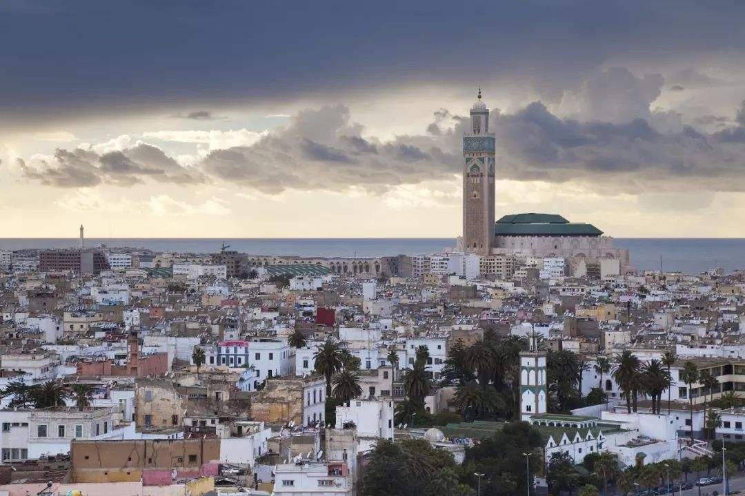 伊尔莎|致敬经典《卡萨布兰卡》