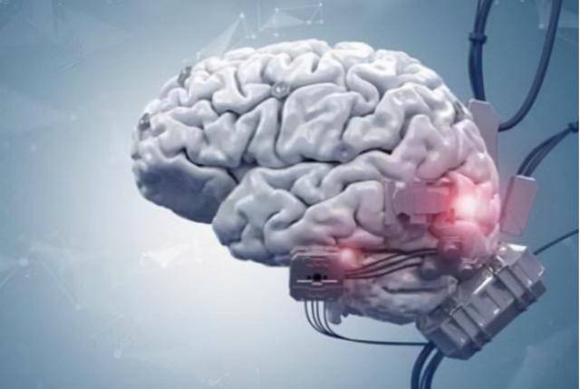 人体|经常吃的早餐与肝病有关吗?多吃这两种食物,或有助于健康养肝